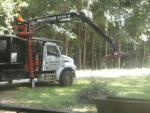 Tree Trimmers came by and left our driveways full of branches!